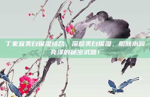 丁家宜美白保湿组合，深层美白保湿，肌肤水润亮泽的秘密武器！