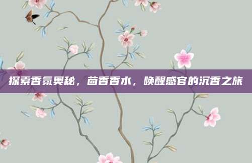 探索香氛奥秘,茴香香水,唤醒感官的沉香之旅