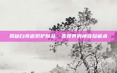 揭秘白亮遮瑕护肤品,美妆界的神奇隐藏术