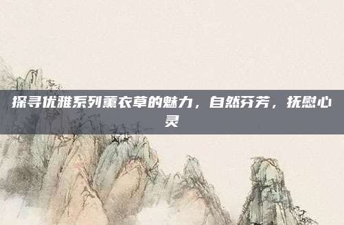 探寻优雅系列薰衣草的魅力,自然芬芳,抚慰心灵