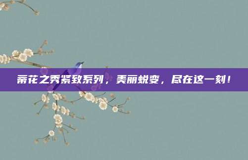 蒂花之秀紧致系列，美丽蜕变，尽在这一刻！