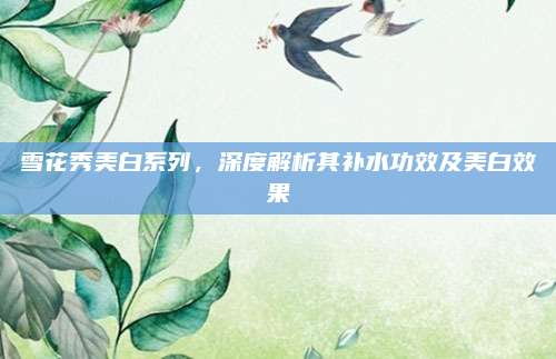 雪花秀美白系列,深度解析其补水功效及美白效果