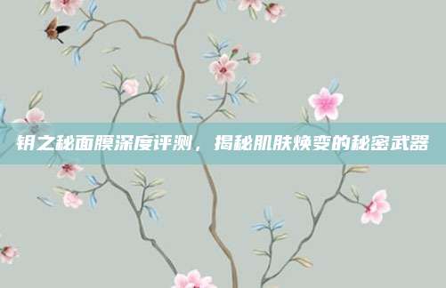 钥之秘面膜深度评测，揭秘肌肤焕变的秘密武器