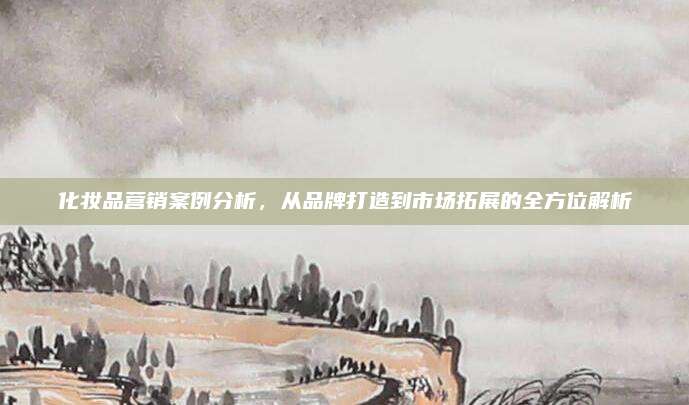 化妆品营销案例分析，从品牌打造到市场拓展的全方位解析