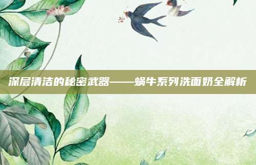 深层清洁的秘密武器——蜗牛系列洗面奶全解析