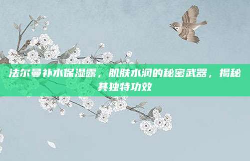 法尔曼补水保湿露，肌肤水润的秘密武器，揭秘其独特功效