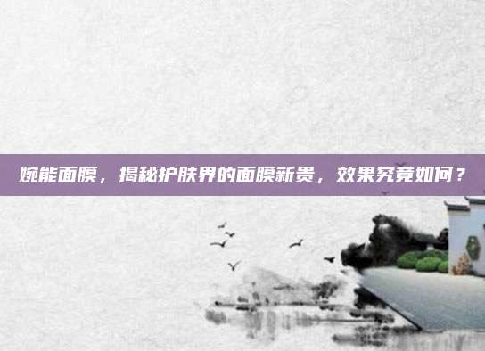 婉能面膜，揭秘护肤界的面膜新贵，效果究竟如何？