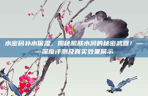 水密码补水保湿，揭秘肌肤水润的秘密武器！——深度评测及真实效果展示