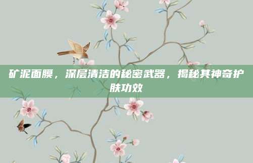 矿泥面膜，深层清洁的秘密武器，揭秘其神奇护肤功效