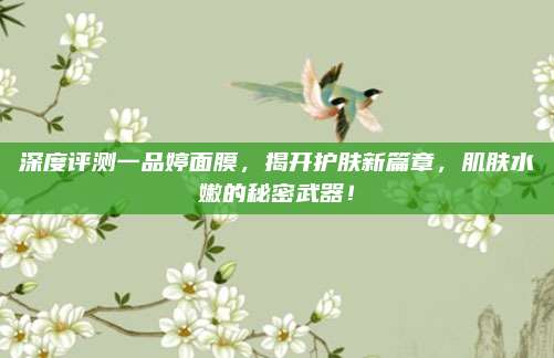 深度评测一品婷面膜,揭开护肤新篇章,肌肤水嫩的秘密武器!