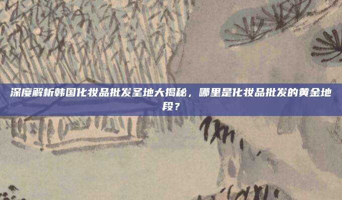深度解析韩国化妆品批发圣地大揭秘，哪里是化妆品批发的黄金地段？
