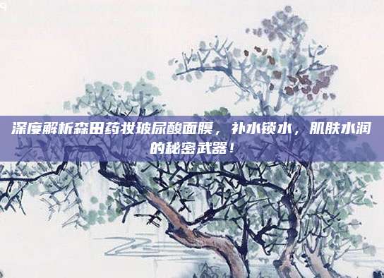 深度解析森田药妆玻尿酸面膜，补水锁水，肌肤水润的秘密武器！