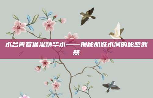 水合青春保湿精华水——揭秘肌肤水润的秘密武器
