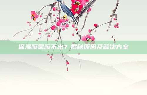 保湿喷雾喷不出？揭秘原因及解决方案