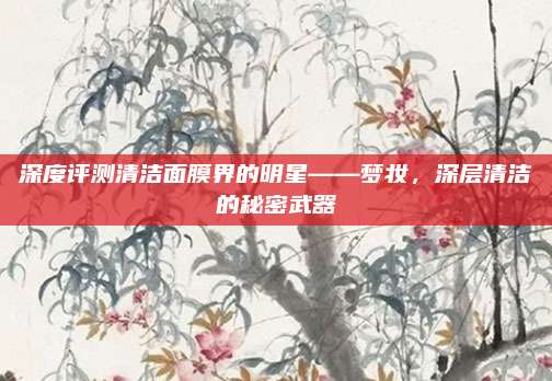 深度评测清洁面膜界的明星——梦妆，深层清洁的秘密武器