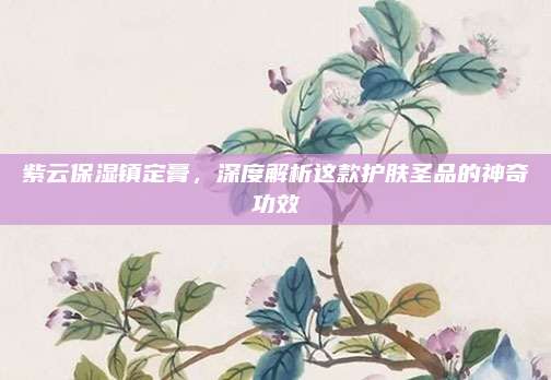 紫云保湿镇定膏，深度解析这款护肤圣品的神奇功效