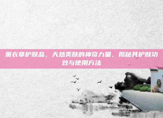 薰衣草护肤品,天然美肤的神奇力量,揭秘其护肤功效与使用方法
