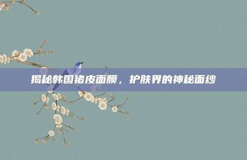 揭秘韩国猪皮面膜，护肤界的神秘面纱