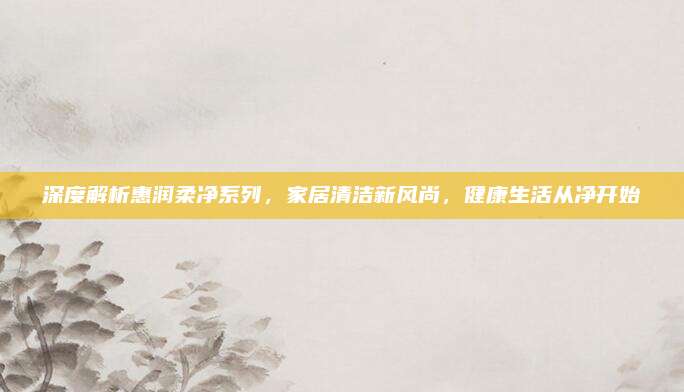 深度解析惠润柔净系列，家居清洁新风尚，健康生活从净开始