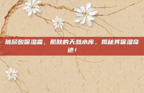 玻尿酸保湿霜，肌肤的天然水库，揭秘其保湿奇迹！