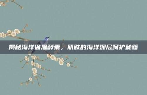 揭秘海洋保湿酵素,肌肤的海洋深层呵护秘籍