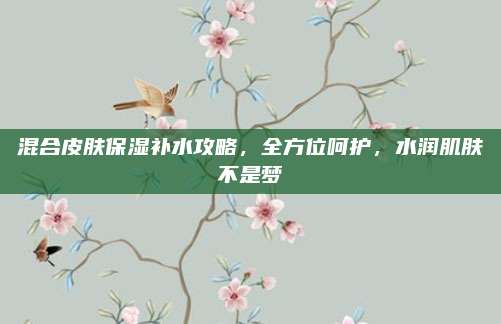 混合皮肤保湿补水攻略，全方位呵护，水润肌肤不是梦