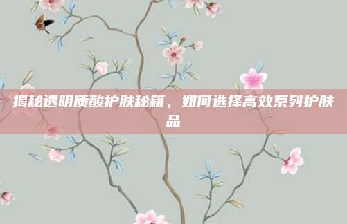 揭秘透明质酸护肤秘籍，如何选择高效系列护肤品