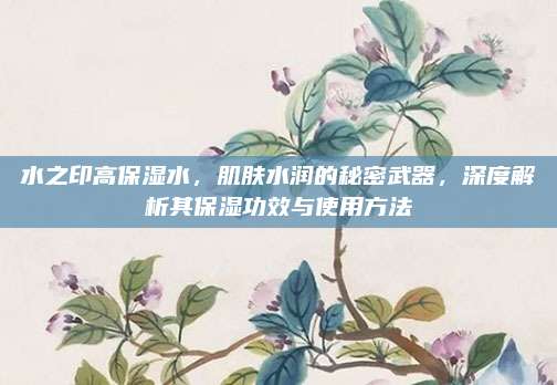 水之印高保湿水,肌肤水润的秘密武器,深度解析其保湿功效与使用方法