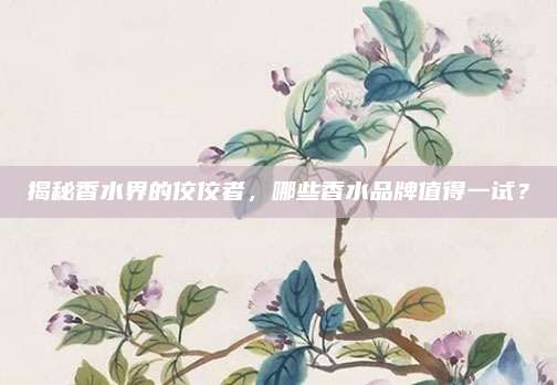 揭秘香水界的佼佼者，哪些香水品牌值得一试？