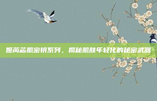 姬芮芯肌密钥系列，揭秘肌肤年轻化的秘密武器