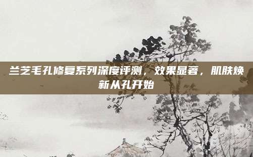 兰芝毛孔修复系列深度评测，效果显著，肌肤焕新从孔开始