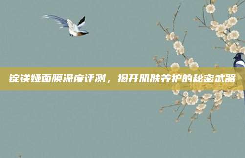 锭镁娅面膜深度评测，揭开肌肤养护的秘密武器