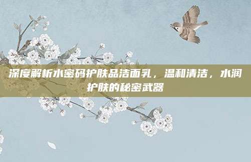 深度解析水密码护肤品洁面乳，温和清洁，水润护肤的秘密武器