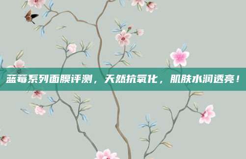 蓝莓系列面膜评测，天然抗氧化，肌肤水润透亮！