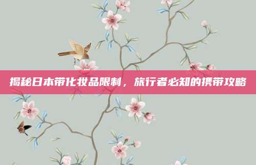 揭秘日本带化妆品限制，旅行者必知的携带攻略