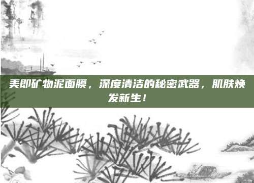 美即矿物泥面膜，深度清洁的秘密武器，肌肤焕发新生！