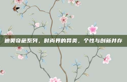 迪奥奇葩系列，时尚界的异类，个性与创新并存