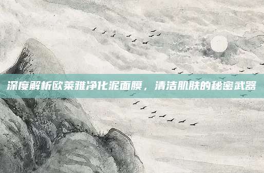 深度解析欧莱雅净化泥面膜，清洁肌肤的秘密武器