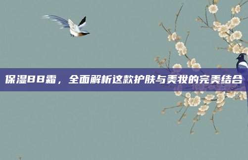 保湿BB霜，全面解析这款护肤与美妆的完美结合