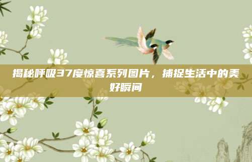 揭秘呼吸37度惊喜系列图片，捕捉生活中的美好瞬间