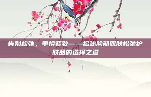 告别松弛，重拾紧致——揭秘脸部肌肤松弛护肤品的选择之道