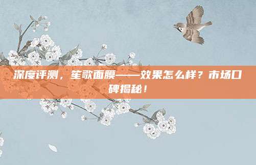 深度评测,笙歌面膜——效果怎么样?市场口碑揭秘!