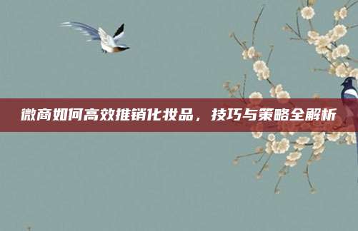 微商如何高效推销化妆品，技巧与策略全解析