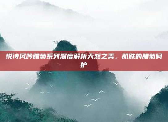 悦诗风吟腊菊系列深度解析天然之美，肌肤的腊菊呵护