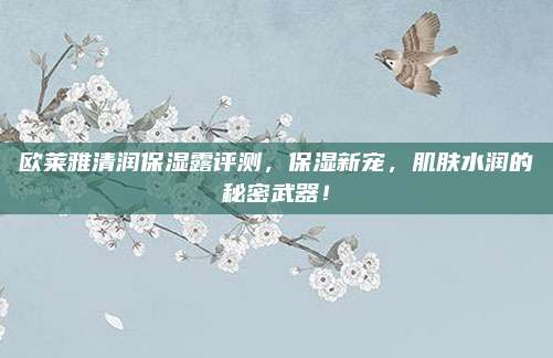 欧莱雅清润保湿露评测，保湿新宠，肌肤水润的秘密武器！