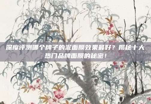 深度评测哪个牌子的泥面膜效果最好？揭秘十大热门品牌面膜的秘密！