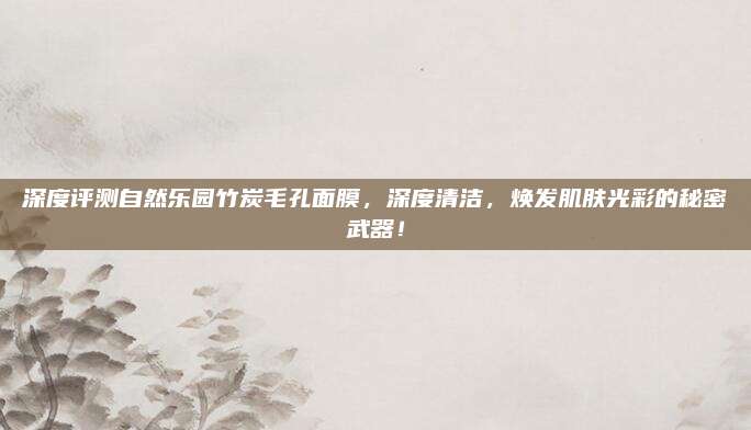 深度评测自然乐园竹炭毛孔面膜，深度清洁，焕发肌肤光彩的秘密武器！