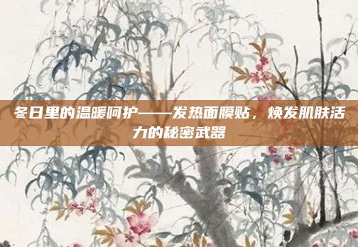 冬日里的温暖呵护——发热面膜贴，焕发肌肤活力的秘密武器