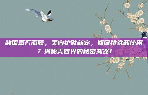 韩国蒸汽面膜，美容护肤新宠，如何挑选和使用？揭秘美容界的秘密武器！