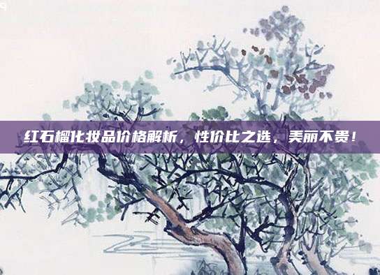 红石榴化妆品价格解析，性价比之选，美丽不贵！